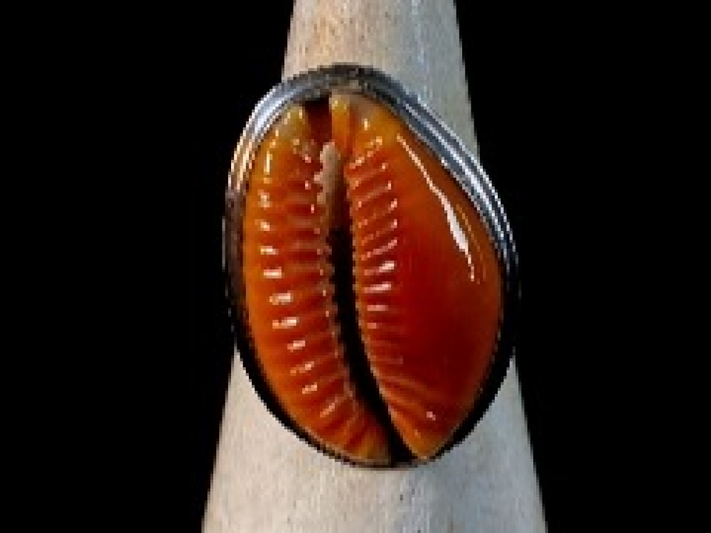 Anillo de Plata Cypraea Orange ag. 25mm / Regulable